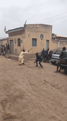 Traditional stick-fighting demonstrations across Nigerian communities
