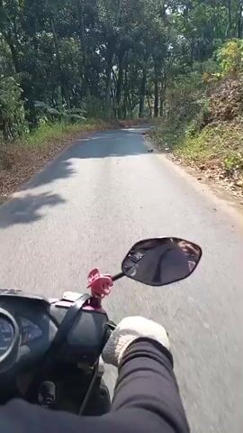 A first-person perspective video shows a person riding a scooter down a paved road that is lined with trees on both sides. The road is slightly winding, and there is a slight incline. Sunlight filters through the trees, creating shadows on the road. The rider is wearing a glove on their right hand, which is visible on the handlebars. A pink charm is attached to the handlebars. The scooter has a visible speedometer and a side mirror that reflects the rider's face and torso. In the distance, another vehicle can be seen on the road. The environment appears to be rural or semi-rural, with vegetation and foliage visible along the roadside. The time stamp indicates the video is from 00:00 to 00:05.