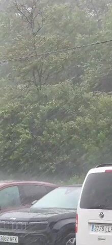 The video shows a heavy downpour with cars visible in the foreground. The camera is positioned behind a white Volkswagen van. In front of the van is a grey car, followed by a red car. Behind the cars is a dense thicket of green trees and bushes. Rain is falling heavily, obscuring the background and creating a misty effect. A power line is visible at the top of the frame. There is no activity involving people.