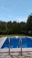Quiet evening documented at Montenegro residence with pool, dog