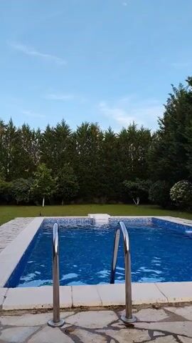 The image captures a serene outdoor swimming pool area, likely part of a private garden or residential property. In the foreground, a clear, rectangular swimming pool with a bright blue tiled interior is visible. Two shiny chrome pool ladders are prominently positioned in the foreground, leading into the sparkling water. The pool is bordered by light-colored coping and surrounded by flagstone paving.

Beyond the pool, a neatly manicured green lawn extends towards the background. A dense line of tall, dark green coniferous trees forms a significant natural privacy hedge or boundary across the horizon. To the left and right, closer to the pool, are various smaller trees and bushes, including some with lighter bark.

The sky above is a clear, light blue with only a few wispy white clouds, indicating a bright and pleasant daytime, likely late morning or afternoon given the soft lighting. There are no people visible, and no specific activity is taking place, contributing to a calm and tranquil atmosphere. No text is visible in the image. The scene suggests a peaceful and well-maintained outdoor leisure space.
