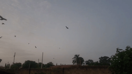 Birds circle communications tower in Bukuru under cloudy skies