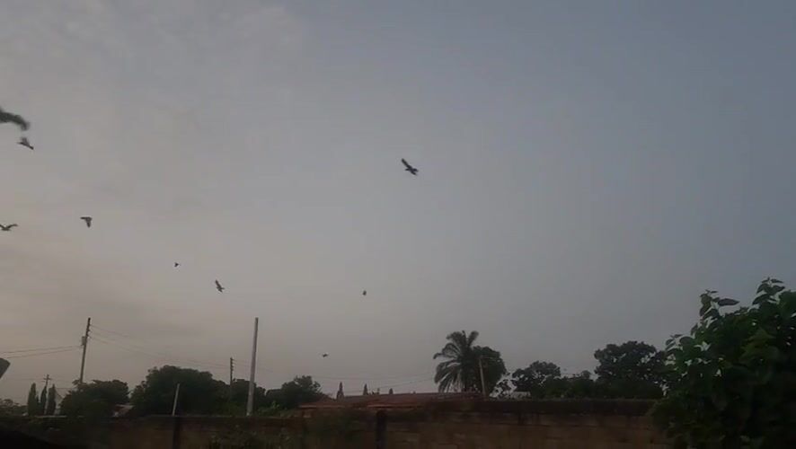 Birds circle communications tower in Bukuru under cloudy skies