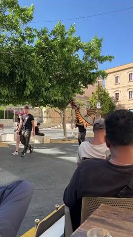 The video shows a person carrying a dragon puppet. The person is wearing a black jacket and black pants. The dragon puppet is green and orange, with a red tongue. The person is standing in a town square. There are trees, benches, and buildings in the background. Other people are standing around and observing the dragon puppet. One is sitting on a concrete block looking at their phone, and others are standing or sitting in the foreground, watching the person with the dragon puppet. The sun is shining and the sky is blue.