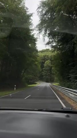 The video shows a first-person view from inside a car driving on a winding road through a dense forest. Tall green trees line both sides of the road, forming a canopy overhead. The road is paved and has white lane markings. On the right side of the road, a metal guardrail runs along the edge. In the distance, a few cars and a picnic table with people are visible on the side of the road. The sky appears overcast.