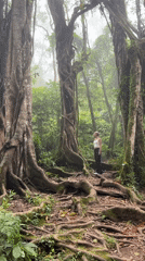 Woman stands on forest trail among tall trees in Baturiti