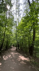 Morning forest walk documented in Vnukovo, Russia