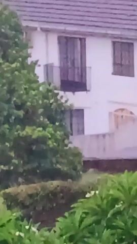 The video shows a white two-story building with a gray tile roof, partially obscured by greenery in the foreground. The building has a small balcony with a black railing, and several windows, some of which appear to have closed shutters.  The view is slightly blurred, suggesting the video may have been taken from a distance or under imperfect lighting conditions. It appears to be a rainy or overcast day.