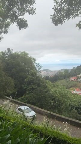 The video shows a landscape with a hillside view of a town and the ocean in the distance. Lush green trees dominate the midground, interspersed with houses that have red-tiled roofs. A white car is parked on a narrow road in the foreground, lined with greenery and white flowers. The sky is overcast with gray clouds. The view is framed by tree branches at the top of the frame.