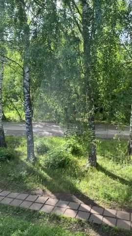 The video shows a view from a window looking out at a street lined with birch trees. In the foreground, there is a paved walkway with square tiles. The ground is covered in green grass and bushes. Sunlight filters through the leaves of the trees, casting dappled shadows on the ground. In the background, a road is visible, and two motorcycles are seen riding by on the road. The overall scene is that of a peaceful, sunlit day in a suburban or park-like setting.