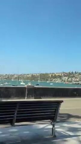 The video shows a scene by a bay on a sunny day. Initially, two women are walking along a path next to the water. The camera then moves past a tree, partially obscuring the view, and reveals three people riding a black electric motorbike down the same path. The background includes water, sailboats, and houses on a distant shoreline under a clear blue sky.