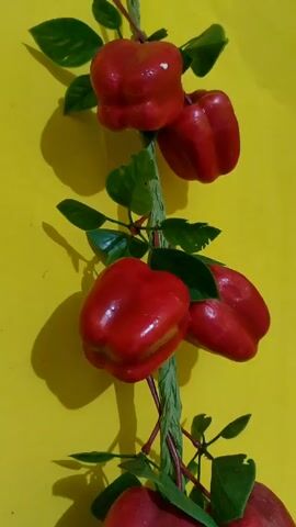A wall decoration made of red bell peppers, green leaves and a twisted paper-like vine hangs on a yellow wall. The peppers appear artificial, glossy and perfectly shaped. Sunlight casts a shadow of the decoration on the wall.