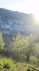 Black chicken photographed in rural Bulgarian mountain setting