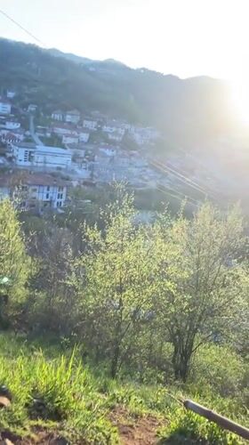 Black chicken photographed in rural Bulgarian mountain setting