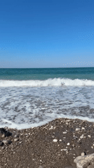 Morning beach walk with dog captures peaceful Montenegro coastline