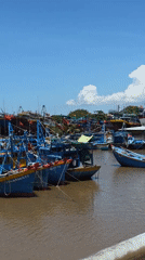 Colorful fishing fleet docked at Vietnamese harbor
