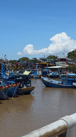 Colorful fishing fleet docked at Vietnamese harbor