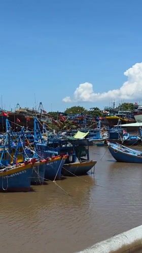 Colorful fishing fleet docked at Vietnamese harbor