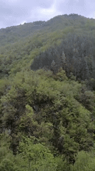 Green mountainside filmed in cloudy conditions near Bulgarian spa town