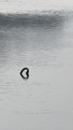Dark object emerges from lake, cyclist spotted in Da Lat