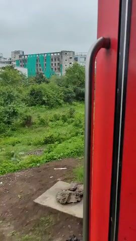 The video captures a view from inside a moving train. The foreground is dominated by the red exterior of the train car, with a silver handle visible on the right side. Outside the train, lush green vegetation covers the landscape, interspersed with trees. In the background, a multi-story building with scaffolding and green netting is partially visible. The sky is overcast, suggesting a cloudy day. As the train progresses, the scenery changes slightly, with glimpses of railway tracks, a signal post, and more buildings appearing in the distance. The camera angle shifts, showing the train moving alongside the greenery.