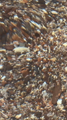 Ground-level view of mixed colored pebbles captured in Eilat