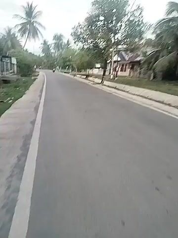 The camera is positioned on a paved road beside a curb. The road curves slightly into the distance. The road is lined on both sides with trees, including many palm trees. Several motorbikes and pedestrians are traveling on the road in the distance.