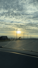 Spring afternoon memories: rural drives, flowering bushes, pet fish