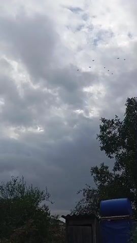 A flock of birds flies in formation across a cloudy sky above trees, a small wooden shed, and a large blue barrel.