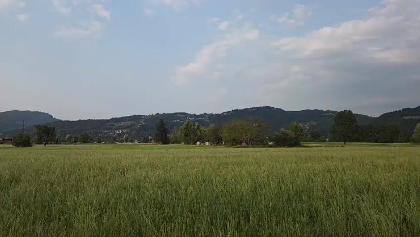 A panoramic view captures a vast, green field of tall grass under a partly cloudy sky. In the distance, rolling hills are dotted with trees and houses, forming a serene rural landscape. The camera pans slowly from left to right, offering a sweeping vista of the countryside. The lighting suggests it is late afternoon or early evening, with soft sunlight illuminating the scene. No people or animals are visible in the frame.