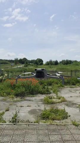 A drone hovers in front of a field dotted with red flowers, separated from a cracked concrete path by a low fence. The drone is light-colored with its rotors visibly spinning, and its camera is visible facing the viewer. Behind the field, there are trees and a cloudy sky. The concrete path shows signs of age and disrepair, with weeds sprouting through the cracks.