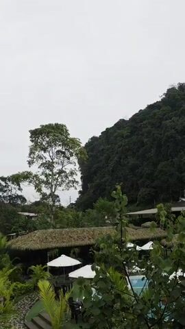 The video shows an outdoor scene with a lush green mountain slope in the background. In the mid-ground, there are some thatched-roof structures, white umbrellas, and what appears to be a swimming pool with blue water. Several trees and other foliage are visible throughout the frame, some in the foreground obscuring parts of the scene. The sky is overcast and grey.