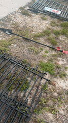 Fence panels await assembly on Cape Coral lawn