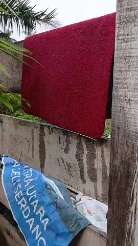 A red rug is hanging over a rough concrete wall, possibly as if to dry. Below the rug, a blue tarp with white text is partially covering a wooden structure that appears to be a bin or a planter. Some scattered debris, including what looks like wood scraps, is visible on the ground. Green foliage is present in the background, suggesting an outdoor setting. The lighting appears overcast.
