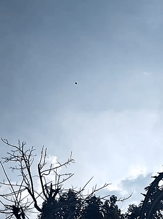 Morning village life documented in Bangsri, Indonesia