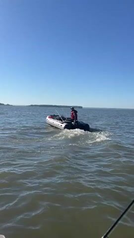 A small inflatable boat with one person on board is traveling across a body of water. The person is sitting in the boat and appears to be operating it. The boat is creating a wake as it moves. The water is calm, and the sky is clear and blue. There is land visible in the distance. The scene is illuminated by sunlight.