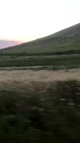 The video shows a rolling, grassy hill with a clear sky. The camera is moving, creating a blurred effect on the foreground, which appears to be a field of tall grass and vegetation. The hill is covered in green grass and appears to be uneven with some patches of darker ground. There are no people or animals visible in the video, and no discernable man-made structures other than a faint line that might be a fence or a path across the hill. The lighting suggests it is either early morning or late evening.