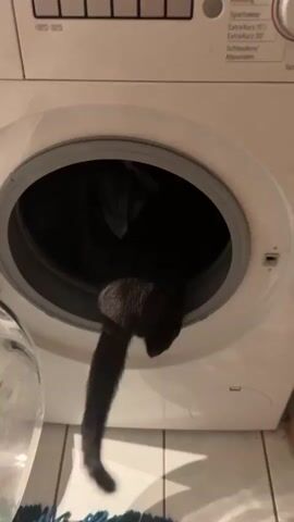 A black cat is partially inside a white washing machine. Its hindquarters and tail are visible extending out of the washing machine's opening. The cat's fur is dark and appears fluffy. The washing machine's door is open, and the interior drum is visible and dark. The background shows a tiled wall.