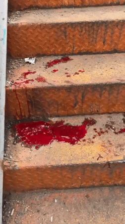 Blood, shattered glass found on Tehran stairs