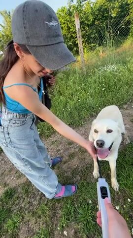 A young woman pets a white dog on a leash outdoors in a grassy, semi-rural setting. She wears a grey baseball cap, a blue crop top, loose light-wash jeans, and blue sandals with pink socks. She carries a grey bag over her shoulder and a small bunch of purple flowers in her hand. The dog is medium-sized and white with a black leash attached to its collar. The woman pets the dog's head and neck while the dog looks up at her expectantly, panting happily.  A wire fence and green foliage form the background. The camera seems to be held by someone standing nearby.