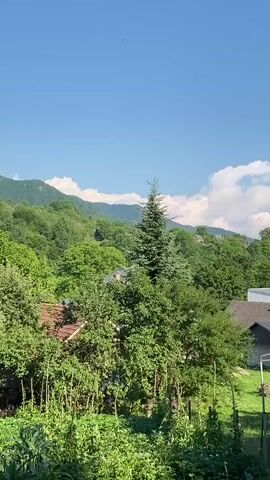 This video captures a tranquil, pastoral scene in Luh, Ukraine, bathed in the clear blue sky of a sunny day. The foreground is dominated by lush greenery, suggesting a garden or thriving vegetation, with tall, thin stalks reaching upwards, possibly part of a vegetable patch. Interspersed among this verdant growth are the rooftops of houses, hinting at a rural village nestled within the landscape.

Further into the scene, a majestic, mature fir tree stands tall, its dark green needles contrasting with the lighter shades of the surrounding deciduous trees. Behind this, rolling hills covered in dense forest stretch towards the horizon. The distant mountains are softly defined against the sky, with a few fluffy white clouds drifting lazily by, indicative of fair weather. The overall impression is one of peace and natural beauty, likely captured during daylight hours, perhaps late morning or early afternoon given the bright sunlight. There are no people or discernible activities taking place, making it a snapshot of serene, unpopulated nature. The image evokes a sense of calm and the simple beauty of a rural Ukrainian countryside.