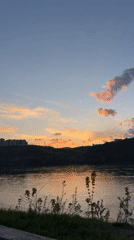 Quiet afternoon moments captured across Krasnoyarsk: sunsets and pets