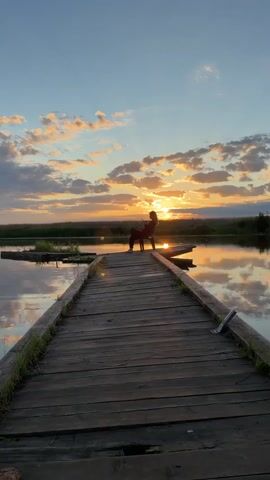 A person sits on a chair on a wooden pier at sunset. The person is silhouetted against the orange sky and is holding a phone. The pier extends into a body of water, and reeds are visible in the background. The clouds in the sky are illuminated by the setting sun.