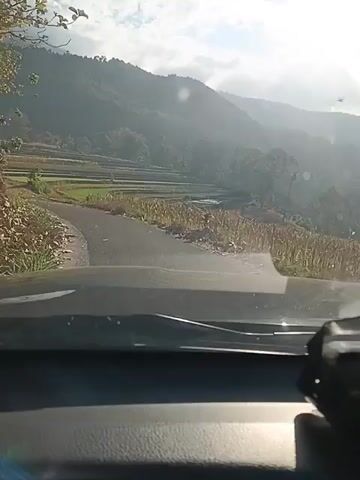 The video shows a point-of-view shot from inside a vehicle, looking out through the windshield at a rural landscape. The vehicle is driving on a paved road that curves to the left. On either side of the road are agricultural fields, some of which appear to be rice paddies or terraced fields, with some dry corn stalks visible. Beyond the fields, rolling hills covered in trees rise up, with a hazy, sunlit sky above. The dashboard of the vehicle is visible in the foreground. The overall impression is of a scenic drive through a cultivated rural area.