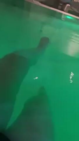 The video shows two legs and a foot submerged in a pool of water that is illuminated with a green light. The legs appear to be stationary within the water. The environment surrounding the pool is dimly lit.