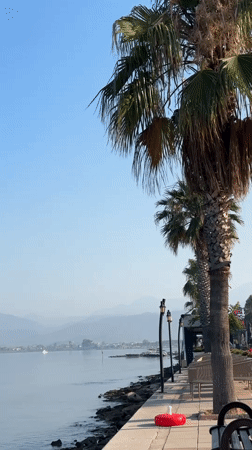 Calm morning along Fethiye's palm-lined waterfront promenade