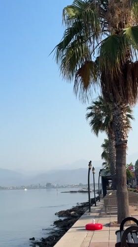 Calm morning along Fethiye's palm-lined waterfront promenade