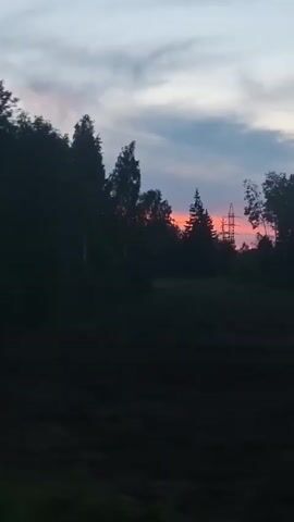 The video captures a view from a moving vehicle, looking out at a rural landscape during dusk. The foreground is dominated by dark foliage and trees on the left side of the frame. On the right side, there is a clearing with grass and some debris. In the distance, a dense line of trees forms a dark silhouette against a colorful sky. The sky displays hues of orange, pink, and blue, with wispy clouds. Two tall, dark structures, resembling power line towers, are visible in the distance above the tree line. The overall impression is of a serene, natural setting transitioning from day to night.