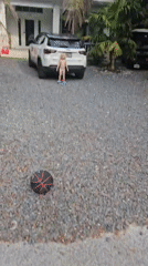 Casual evening in Islamorada: driveway play and sandwiches