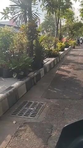 A video shows a street with a sidewalk lined with potted plants. A motorcycle is parked on the left side of the frame. In the background, there are buildings and trees. Two people on a motorcycle are visible in the distance. The weather appears to be sunny. The curb has black and white markings.